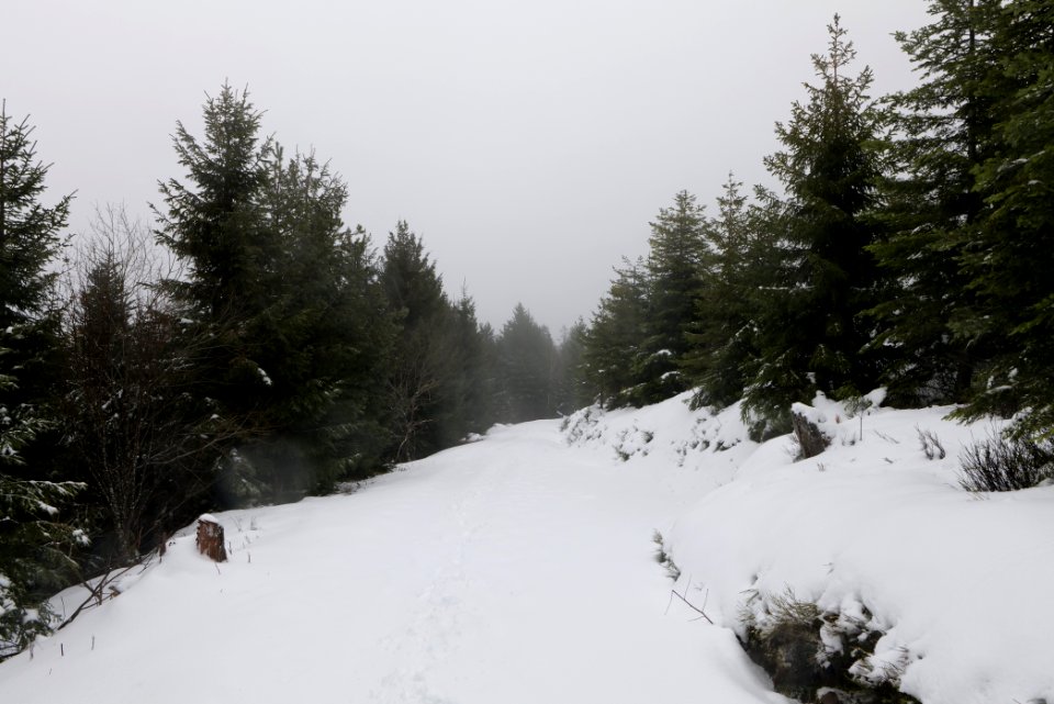 Track from Herrenwieser Sattel to Badener Höhe with snow 2020-03-10 17