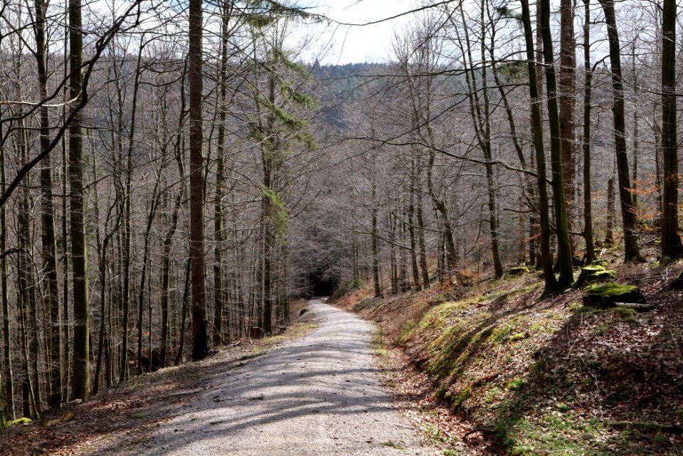 Track from Mittelfeldhütte to Grimbachhütte 2020-03-13 03