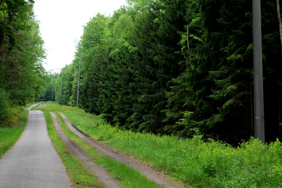 Track from Fürstenberg to Himmelpfort 2021-05-29 17