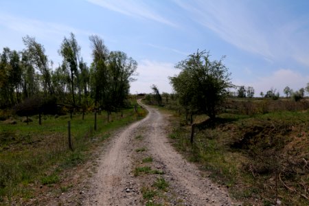 Track in Döberitzer Heide 2020-05-08 32