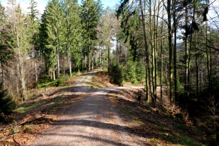 Track from Mittelfeldhütte to Grimbachhütte 2020-03-13 04