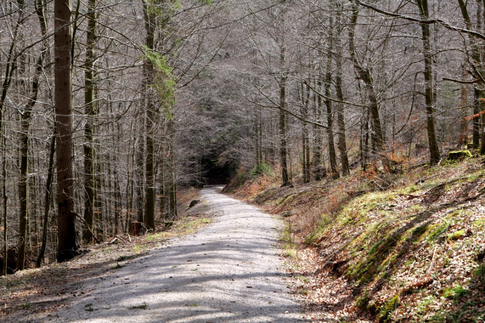 Track from Mittelfeldhütte to Grimbachhütte 2020-03-13 02