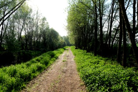 Track in Kiekebusch 2021-05-11 02
