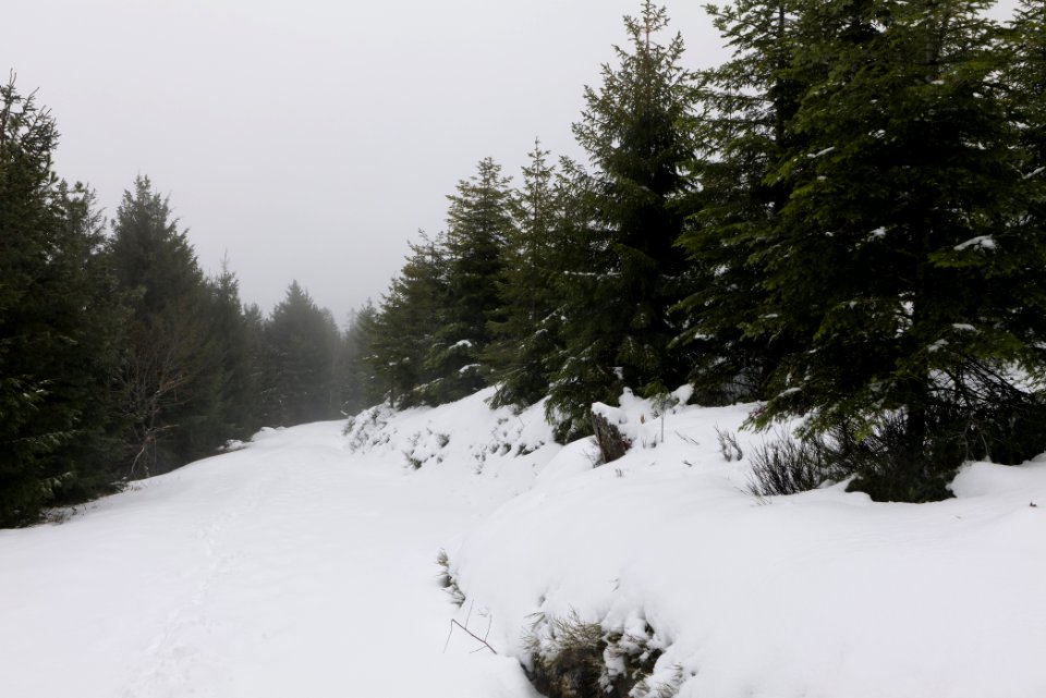 Track from Herrenwieser Sattel to Badener Höhe with snow 2020-03-10 16