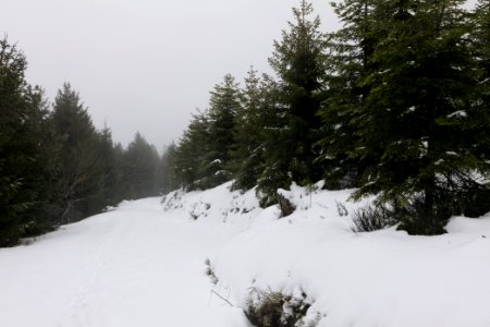 Track from Herrenwieser Sattel to Badener Höhe with snow 2020-03-10 16