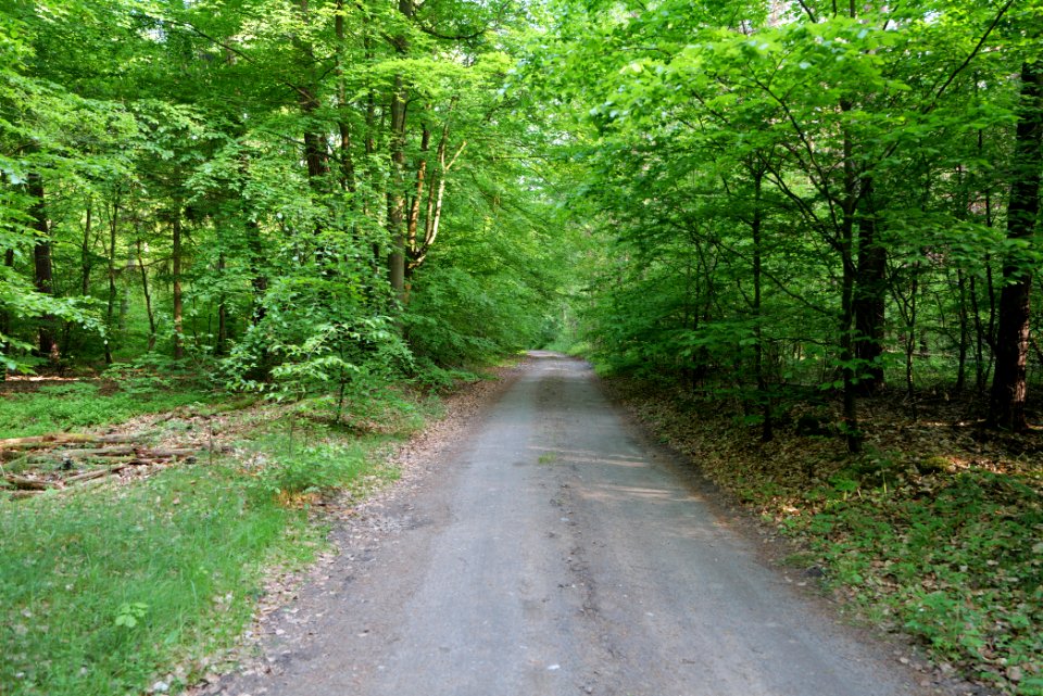 Track in Gerswalde 2021-05-29 01