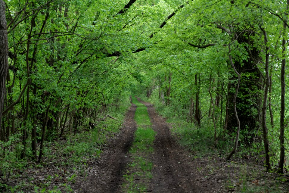Track in Fehrbellin 2020-05-15 06
