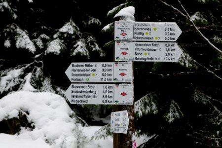 Track from Herrenwieser Sattel to Badener Höhe with snow 2020-03-10 03