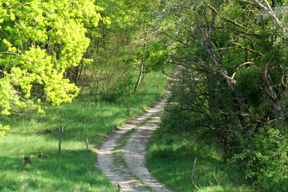 Track in Döberitzer Heide Ferbitzer Bruch 2020-05-08 26