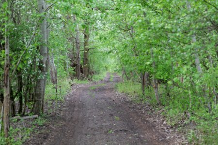 Track in Fehrbellin 2020-05-15 01