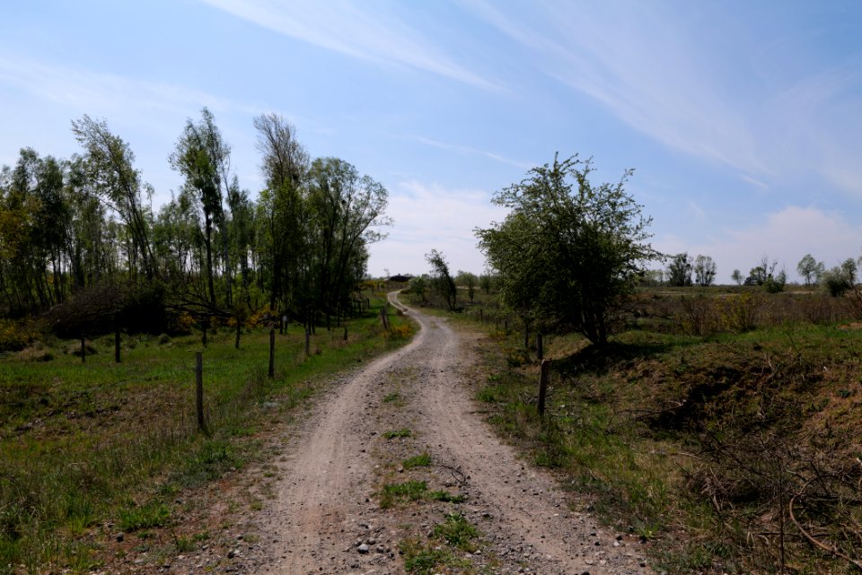 Track in Döberitzer Heide 2020-05-08 31