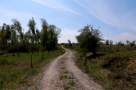 Track in Döberitzer Heide 2020-05-08 31