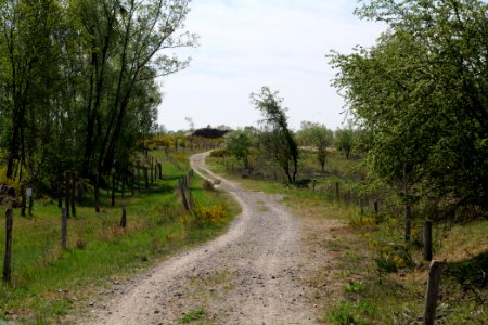Track in Döberitzer Heide 2020-05-08 34