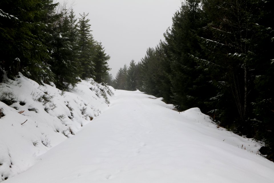 Track from Herrenwieser Sattel to Badener Höhe with snow 2020-03-10 13