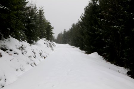 Track from Herrenwieser Sattel to Badener Höhe with snow 2020-03-10 13