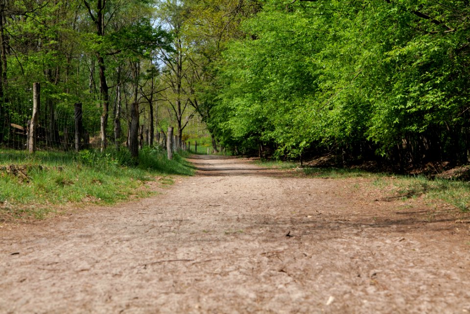 Track in Döberitzer Heide 2020-05-08 13