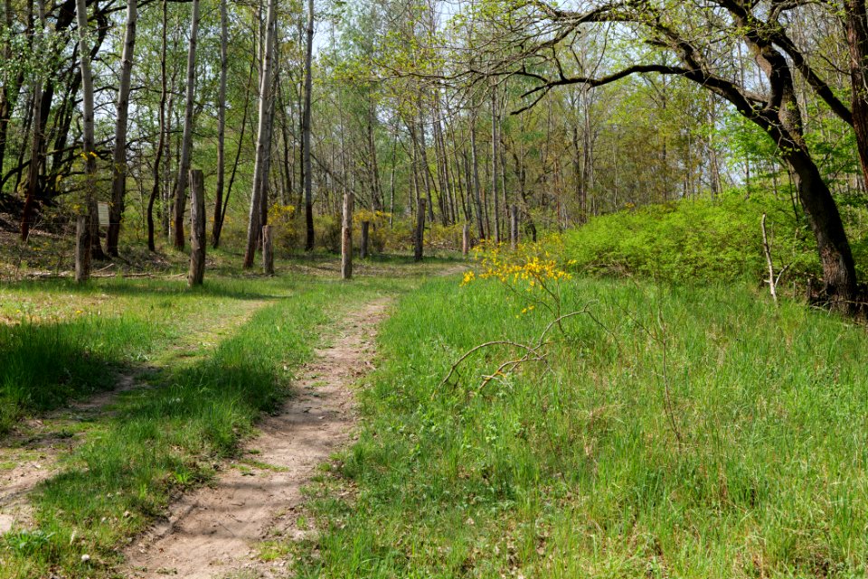 Track in Döberitzer Heide 2020-05-08 17