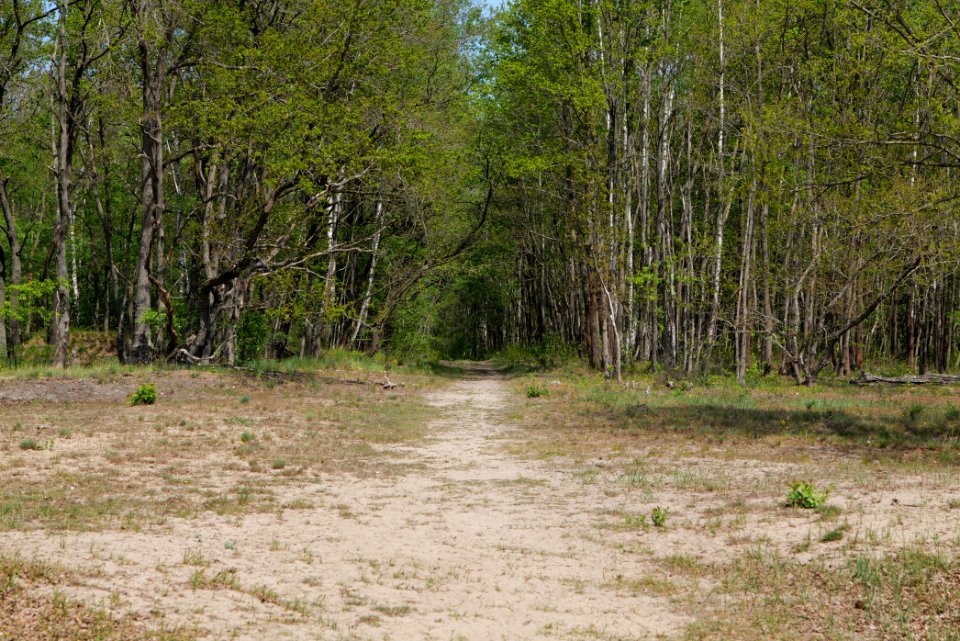 Track in Döberitzer Heide 2020-05-08 07