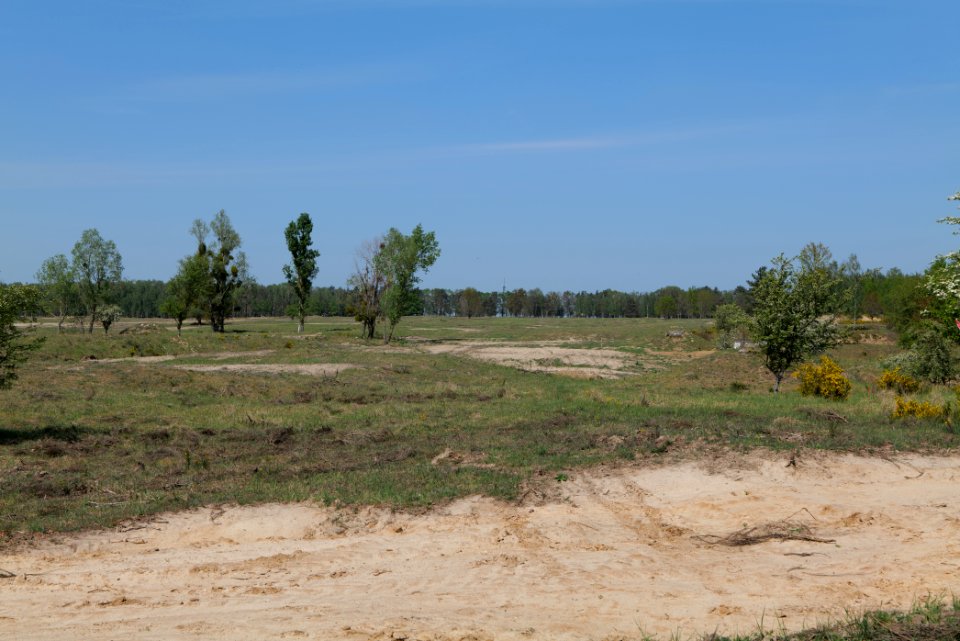 Track in Döberitzer Heide 2020-05-08 36
