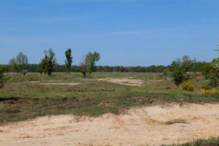 Track in Döberitzer Heide 2020-05-08 36
