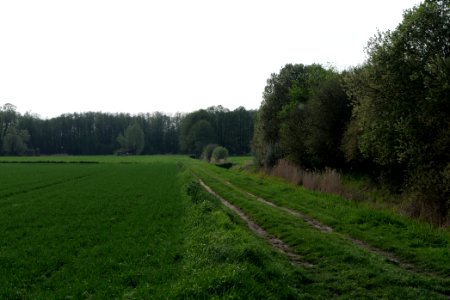 Track in Brusendorf 2021-05-11 11