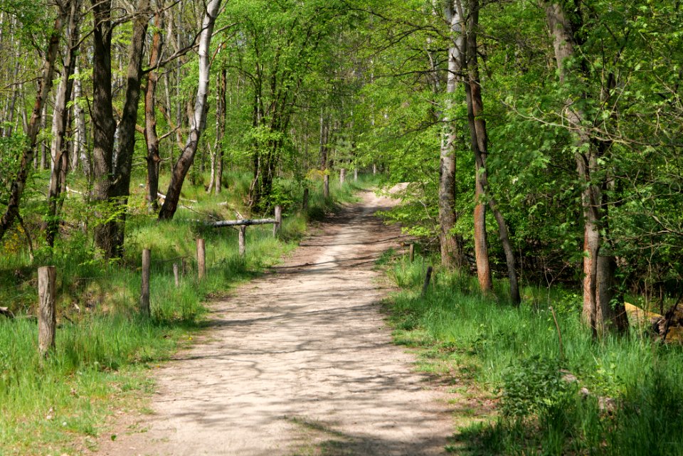 Track in Döberitzer Heide 2020-05-08 16