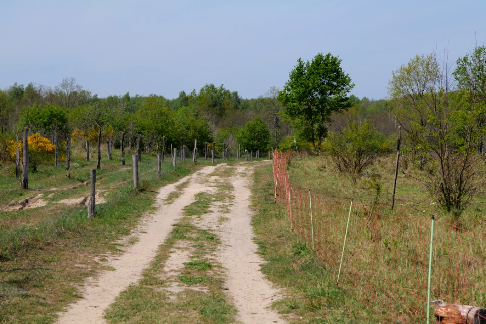 Track in Döberitzer Heide 2020-05-08 02