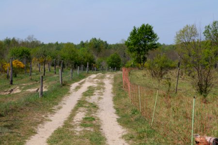 Track in Döberitzer Heide 2020-05-08 02