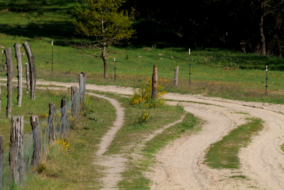Track in Döberitzer Heide Ferbitzer Bruch 2020-05-08 24