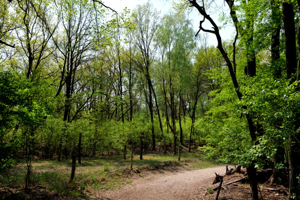 Track in Döberitzer Heide 2020-05-08 10