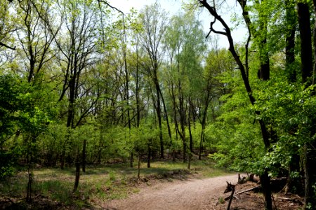 Track in Döberitzer Heide 2020-05-08 10