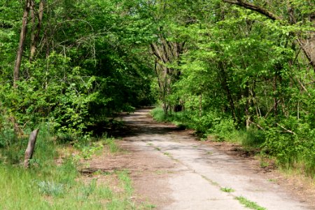 Track in Döberitzer Heide 2020-05-08 20