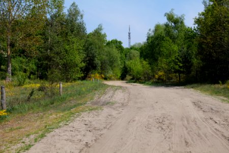 Track in Döberitzer Heide 2020-05-08 21
