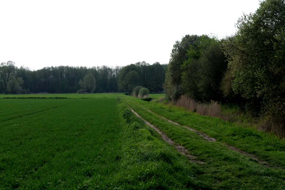 Track in Brusendorf 2021-05-11 10