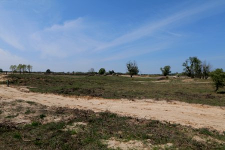 Track in Döberitzer Heide 2020-05-08 37