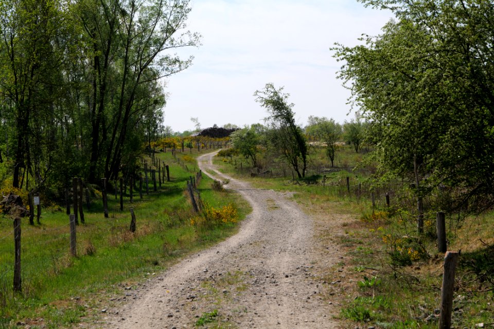 Track in Döberitzer Heide 2020-05-08 33