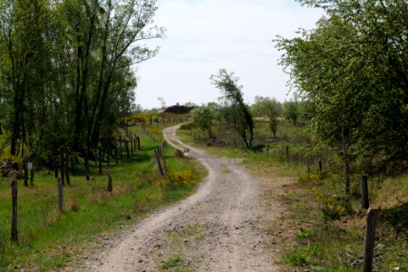 Track in Döberitzer Heide 2020-05-08 33