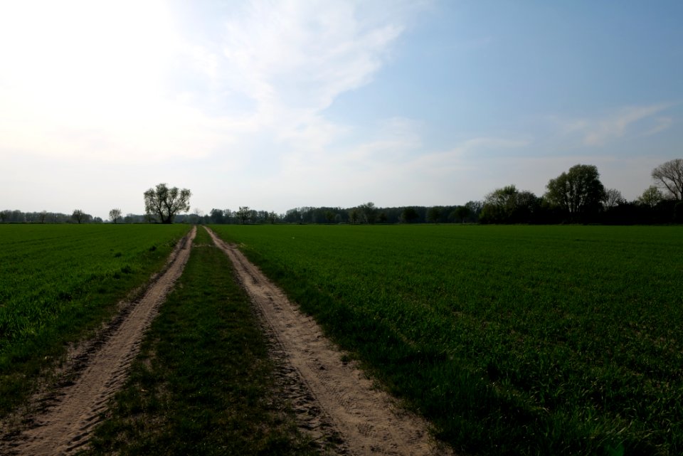 Track in Brusendorf 2021-05-11 07