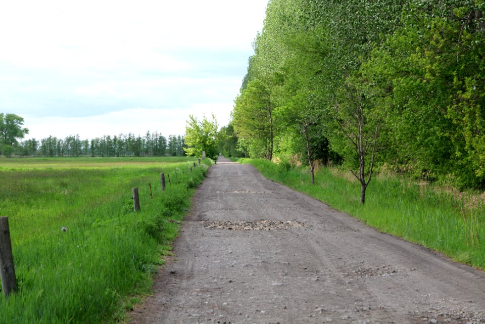 Track in Nauen 2020-05-15 10