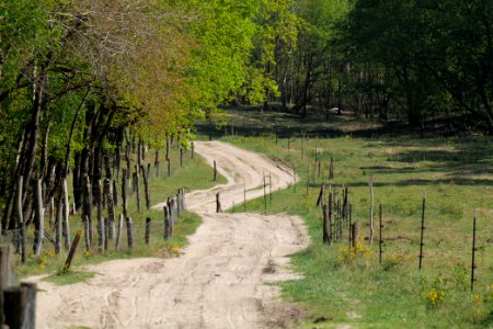 Track in Döberitzer Heide Ferbitzer Bruch 2020-05-08 19