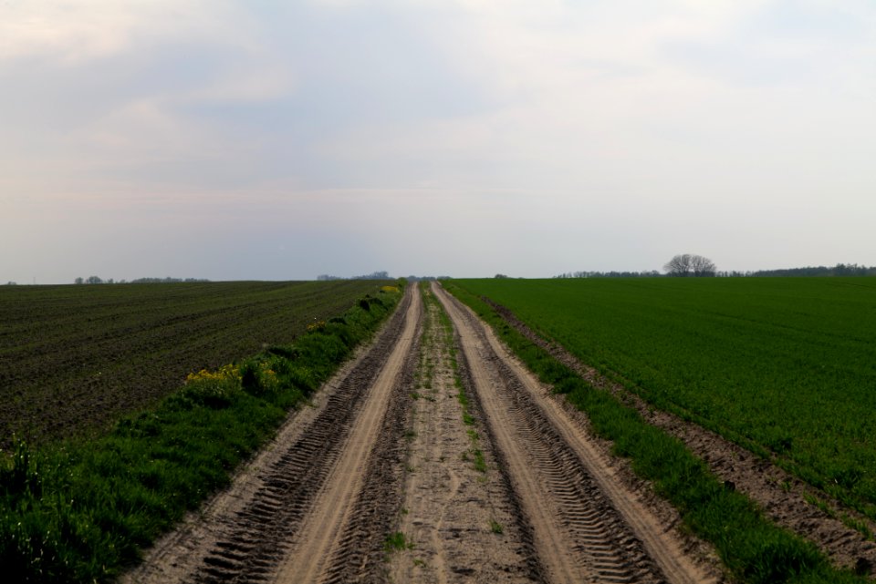 Track in Brusendorf 2021-05-11 02