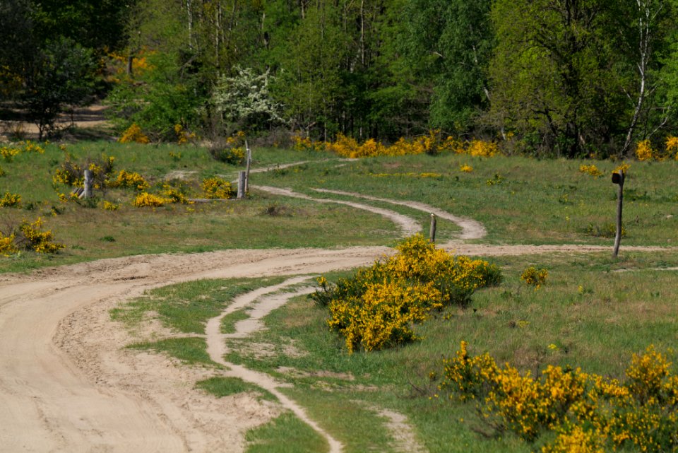 Track in Döberitzer Heide Ferbitzer Bruch 2020-05-08 12