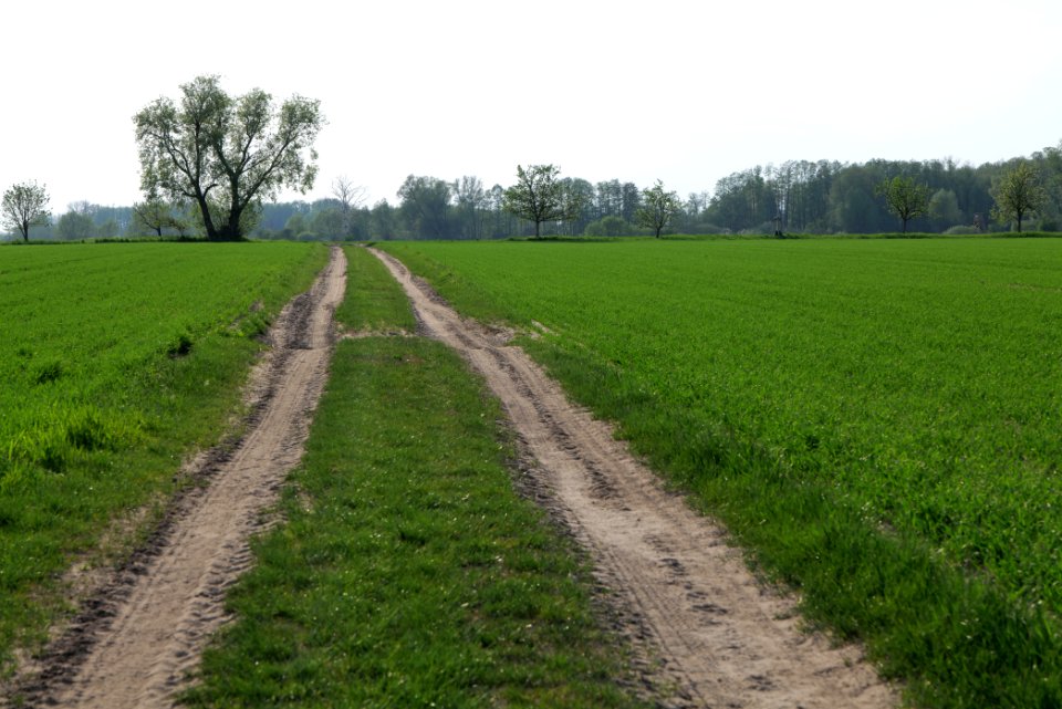 Track in Brusendorf 2021-05-11 09