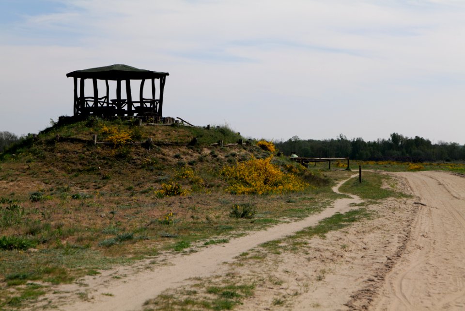 Track in Döberitzer Heide Ferbitzer Bruch 2020-05-08 11