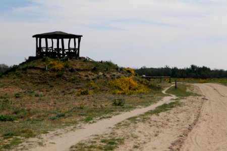 Track in Döberitzer Heide Ferbitzer Bruch 2020-05-08 11