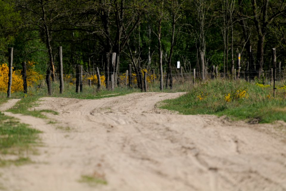 Track in Döberitzer Heide Ferbitzer Bruch 2020-05-08 15