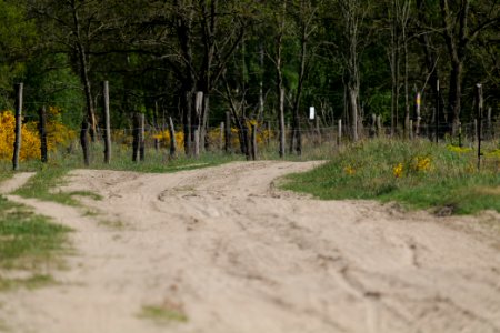Track in Döberitzer Heide Ferbitzer Bruch 2020-05-08 15