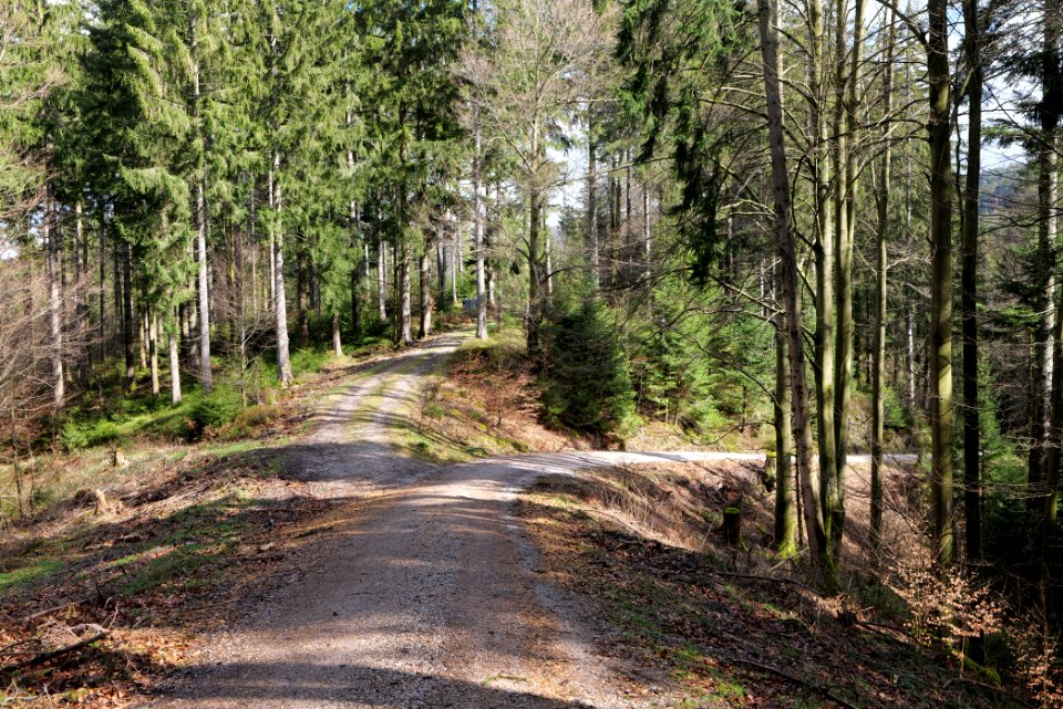 Track from Mittelfeldhütte to Grimbachhütte 2020-03-13 05