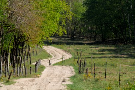 Track in Döberitzer Heide Ferbitzer Bruch 2020-05-08 18