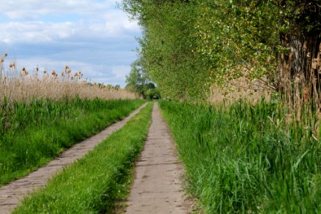 Track in Nauen 2020-05-15 09